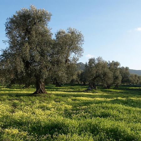 Minicasa Nella Natura, Con Piscina A Due Passi Ostuni Buitenkant foto