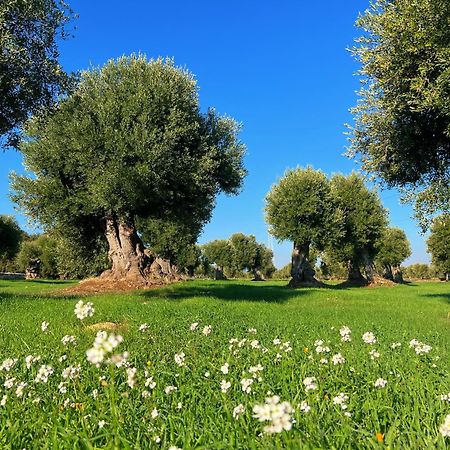 Minicasa Nella Natura, Con Piscina A Due Passi Ostuni Buitenkant foto