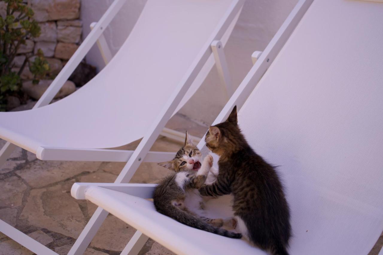 Minicasa Nella Natura, Con Piscina A Due Passi Ostuni Buitenkant foto